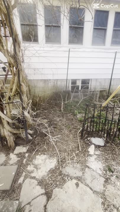 Yard and gutter cleanup job at a Lexington, KY home