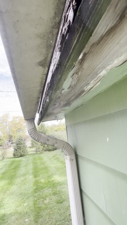 Video still of a yard and gutter job in Lexington, KY